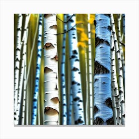 Birch Trees 61 Canvas Print