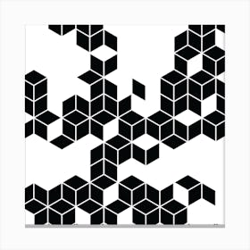 Blocks Maze Canvas Print