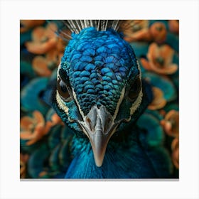 Peacock By Samuel Adams Canvas Print