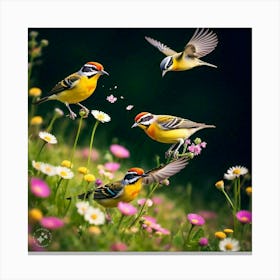 Birds In The Meadow Canvas Print