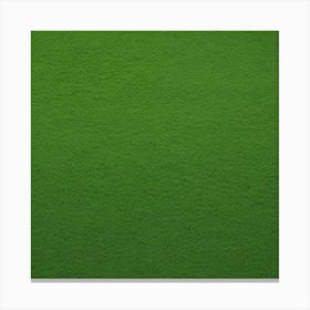 Green Grass 51 Canvas Print