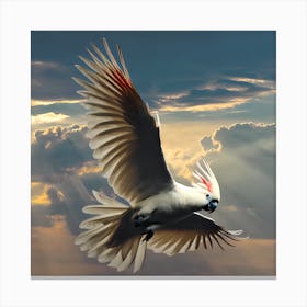 Cockatoo In Flight Canvas Print