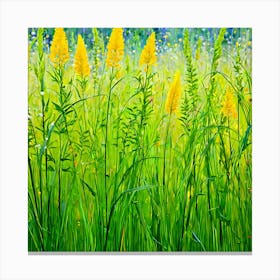 Yellow Wildflowers Canvas Print