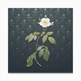 Vintage Big Leaf Climbing Rose Botanical on Slate Gray Pattern n.0751 Canvas Print