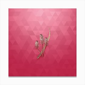 Vintage Meadow Squill Flower Botanical in Gold on Viva Magenta Canvas Print
