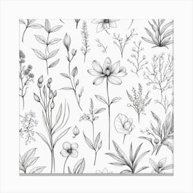 Hand Drawn Flowers Canvas Print