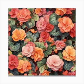 Colorful Of Begonia Square Art Print 1 Canvas Print