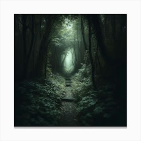 Dark Forest Canvas Print