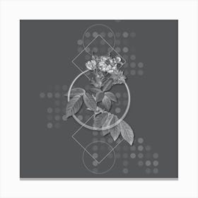 Vintage Boursault Rose Botanical with Line Motif and Dot Pattern in Ghost Gray Canvas Print