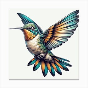 Bird of Hummingbird Canvas Print