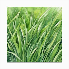 Watercolor Green Grass Canvas Print