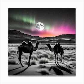 Camels In The Desert 17 Canvas Print