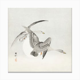 Two Colt Geese In Flight (1900 1930), Ohara Koson Canvas Print