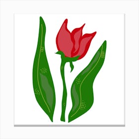 Red Tulip 1 Canvas Print