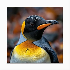 King Penguin 3 Canvas Print