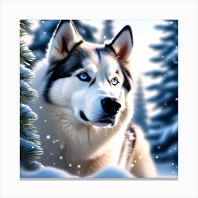 Siberian Husky Canvas Print