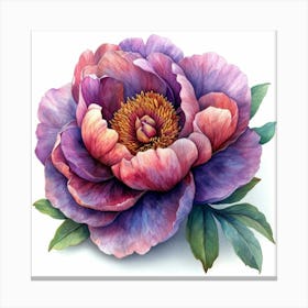 Peony 2 Canvas Print