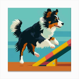 Australian Shepherd Jumping Hurdle Canvas Print