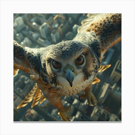 Hawk In Flight Canvas Print