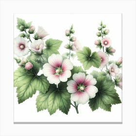 Mallow 1 Canvas Print