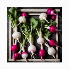 Radishes 31 Canvas Print