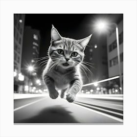 Cat In The City 3 Canvas Print