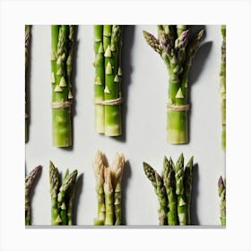 Asparagus Canvas Print