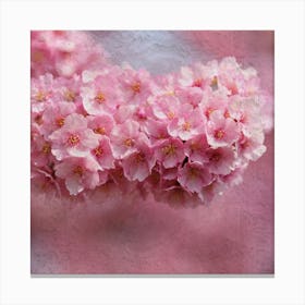 Pink Cherry Blossoms 1 Canvas Print