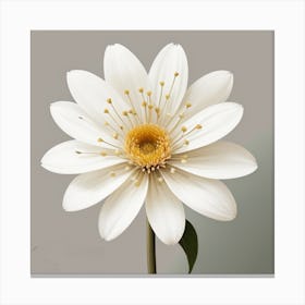 White Daisy Canvas Print