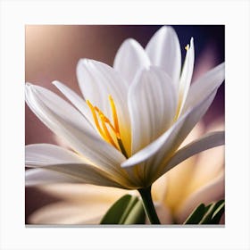 White Flower Canvas Print