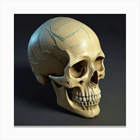 Human Skull Canvas Print