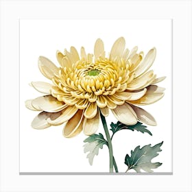 Yellow Chrysanthemum Canvas Print