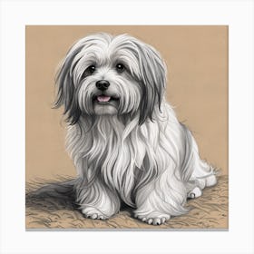 Shih Tzu Canvas Print