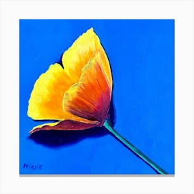 Californian Poppy 2 Canvas Print