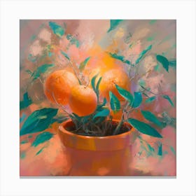 Oranges In A Pot 8 Canvas Print