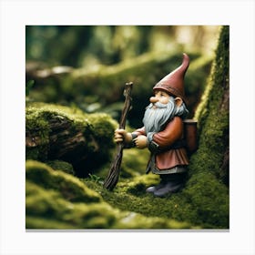 Gnome In The Forest 1 Canvas Print