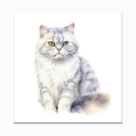 American Shorthair Persian Cat Portrait Canvas Print