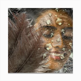 Feathers Canvas Print