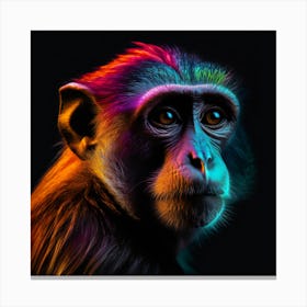 Monkey 2 095120 Canvas Print