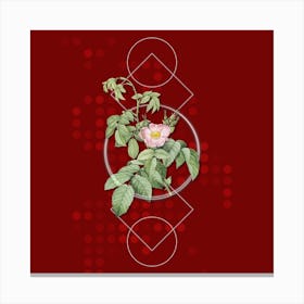Vintage Apple Rose Botanical with Geometric Line Motif and Dot Pattern Canvas Print