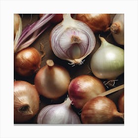 Onion Bunches 4 Canvas Print