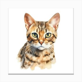 Bengal Cat Portrait 3 Canvas Print