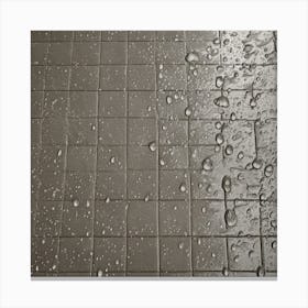 Raindrops On Tile 1 Canvas Print