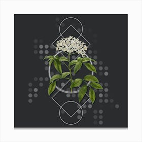 Vintage Elderberry Flowering Plant Botanical with Geometric Line Motif and Dot Pattern n.0123 Canvas Print