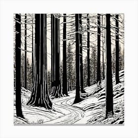 Path In The Woods Canvas Print