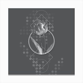 Vintage Tulip Botanical with Line Motif and Dot Pattern in Ghost Gray n.0055 Canvas Print