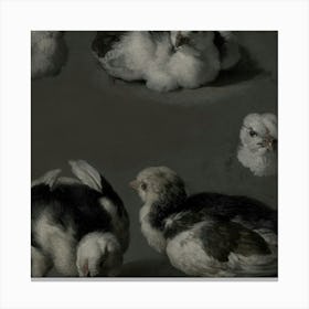 Four Chickens Canvas Print