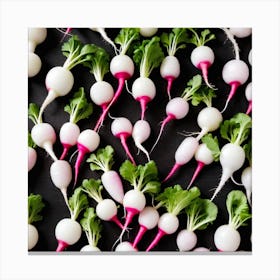 Radish As A Frame (76) Canvas Print