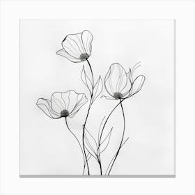 Poppies 96 Canvas Print