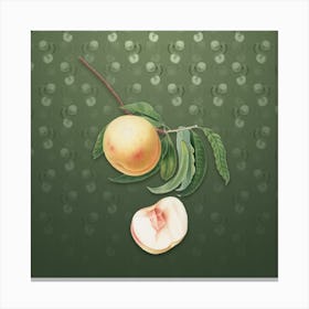 Vintage Duracina Peach Botanical on Lunar Green Pattern Canvas Print